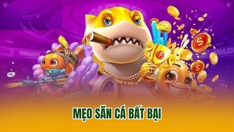 Mẹo săn cá bất bại