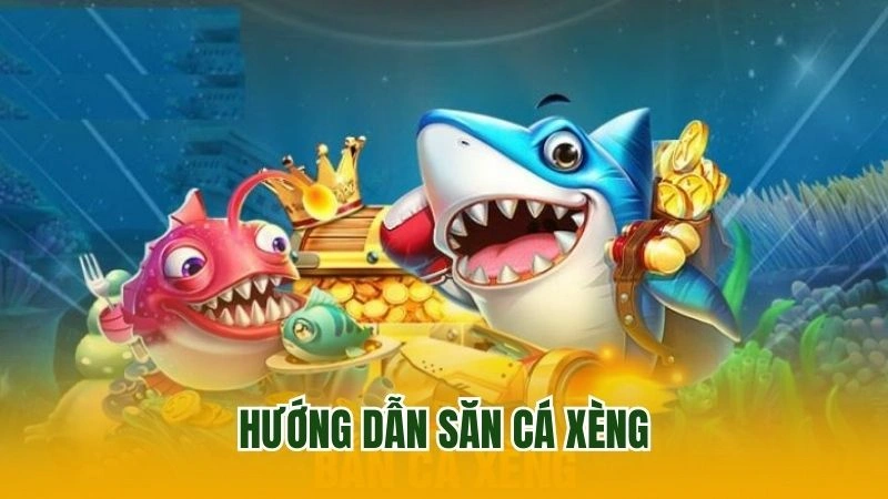 Hướng dẫn săn cá xèng