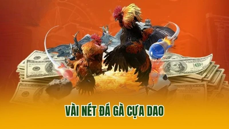 Vài nét đá gà cựa dao