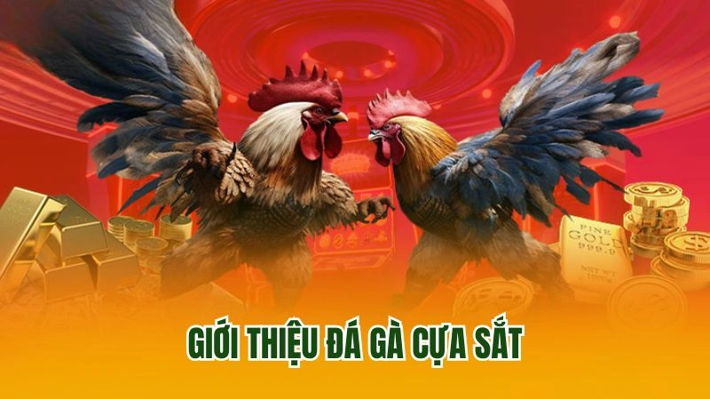 Giới thiệu đá gà cựa sắt