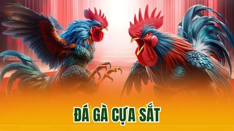 Đá Gà Cựa Sắt