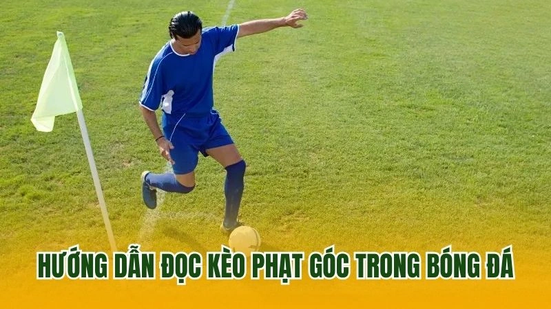 Hướng dẫn đọc kèo phạt góc trong bóng đá