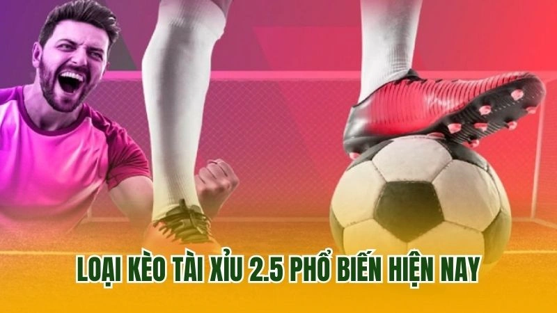 Loại kèo tài xỉu 2.5 phổ biến hiện nay