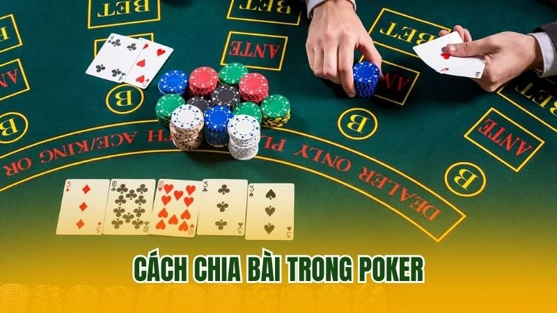 Cách chia bài trong poker