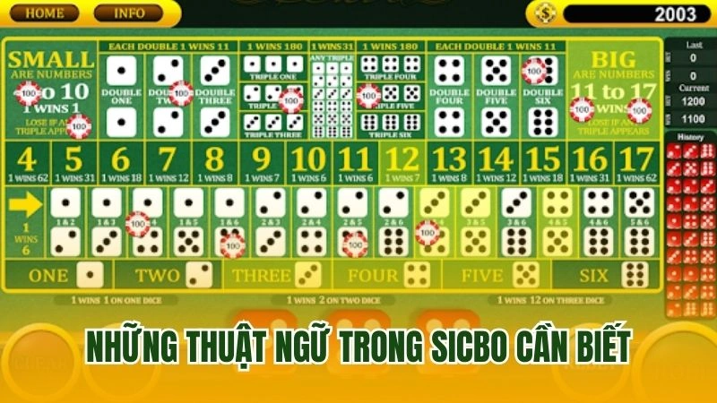 Những thuật ngữ trong sicbo cần biết