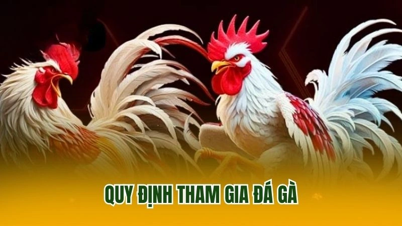 Quy định tham gia đá gà