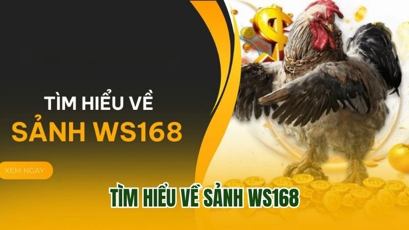 Tìm hiểu về sảnh WS168